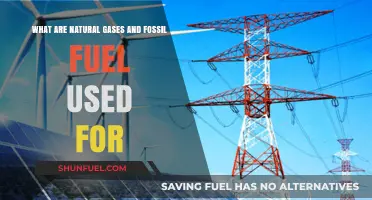 Natural Gas and Fossil Fuel: Powering Our World
