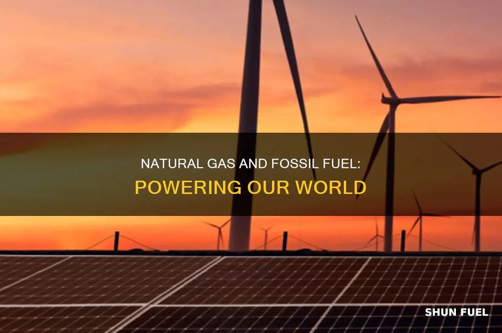 what are natural gases and fossil fuel used for