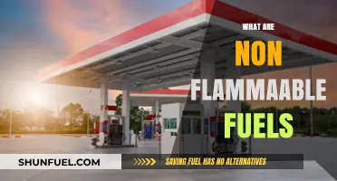 Exploring Non-Flammable Fuels: Safe, Sustainable Energy Alternatives