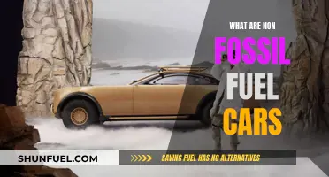 Non-Fossil Fuel Cars: The Future of Green Transportation