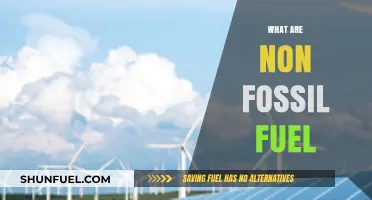 Green Energy Sources: Non-Fossil Fuel Options