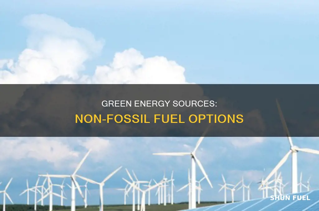 what are non fossil fuel