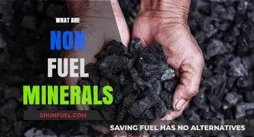 Exploring Non-Fuel Minerals: Essential Resources Shaping Industries and Economies