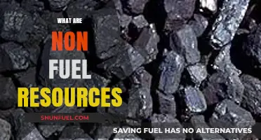 Exploring Non-Fuel Resources: Essential Materials Shaping Our Sustainable Future