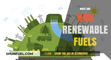 Understanding Non-Renewable Fuels: Sources, Uses, and Environmental Impact