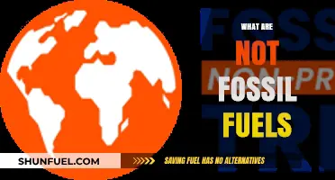 Fossil Fuels: What They Are Not