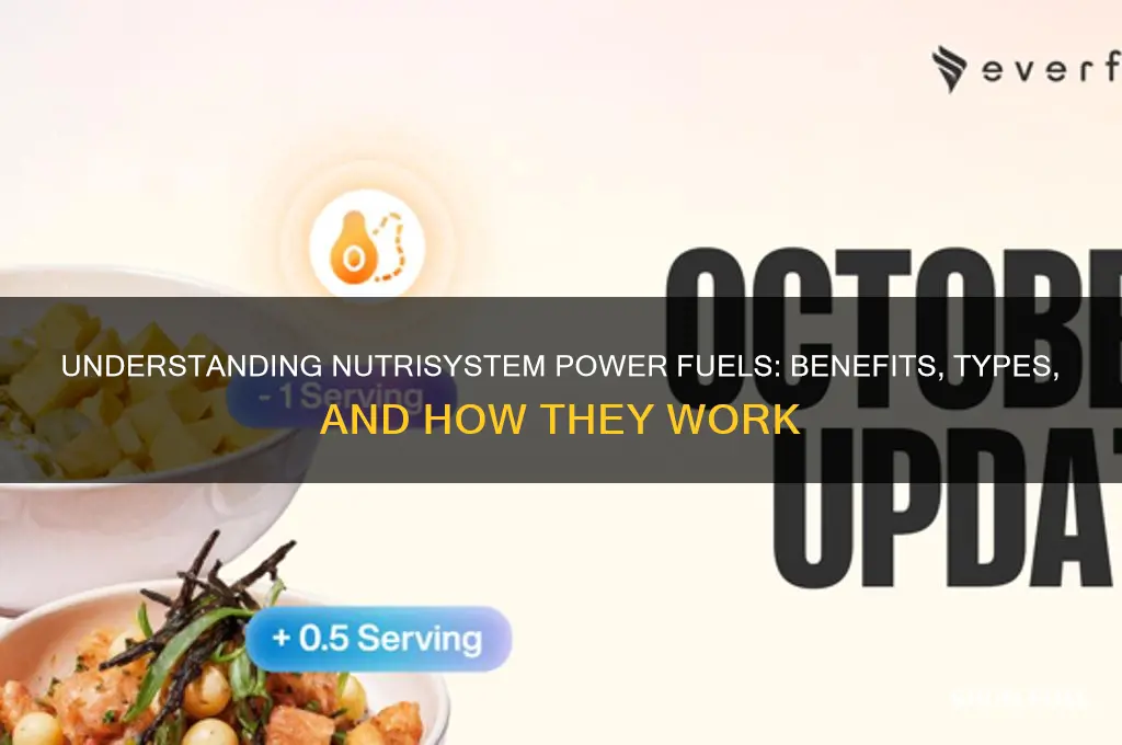 what are nutrisystem power fuels