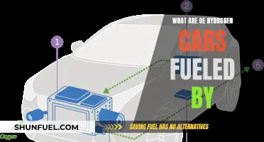 Hydrogen Cars: The Future of Green Energy on Roads