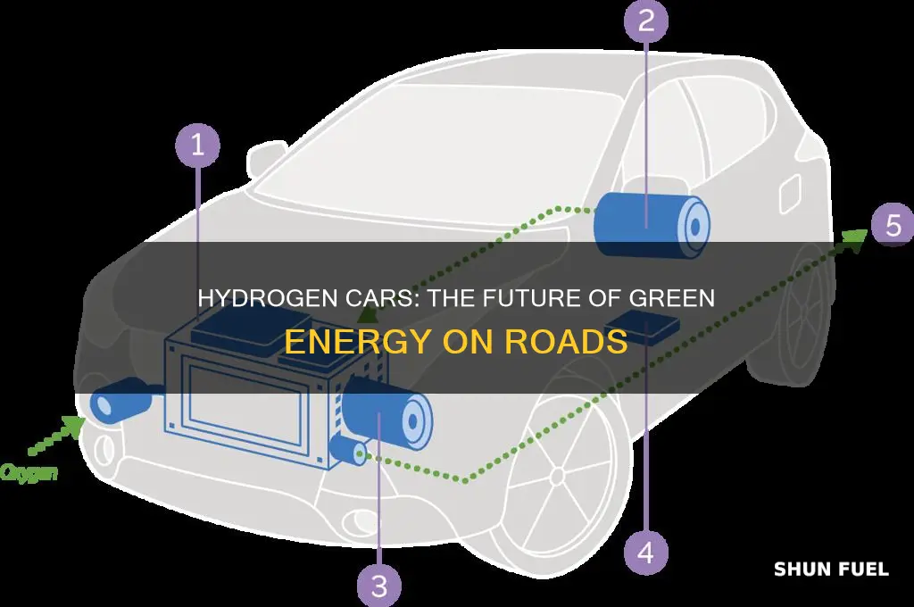 what are oe hydrogen cars fueled by
