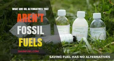 Green Alternatives to Oil: Non-Fossil Fuel Options