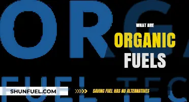 Understanding Organic Fuels: Sustainable Energy Sources for a Greener Future