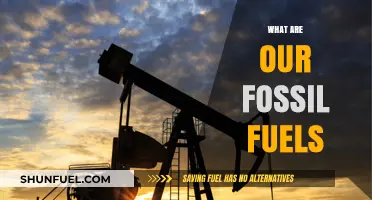 Fossil Fuels: Our Past, Present, and Future