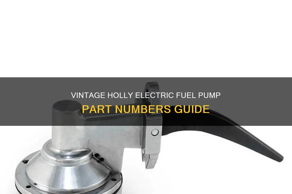what are part numbers for vintage holly electric fuel pump