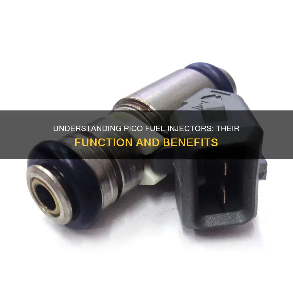 what are pico fuel injectors