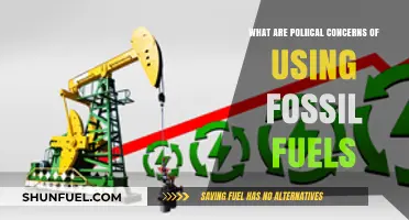 Fossil Fuels: Political Risks and Energy Security