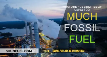 The Dark Side of Fossil Fuel Dependence