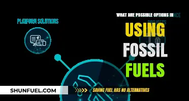 Exploring Fossil Fuel Alternatives and Options