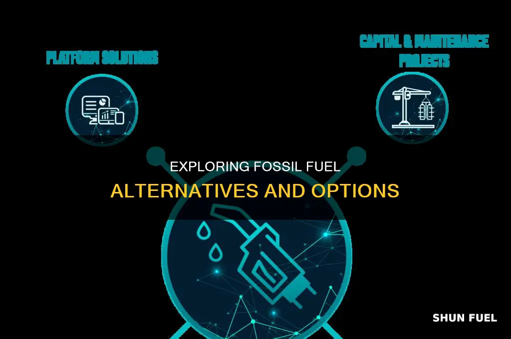 what are possible options in using fossil fuels