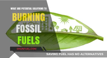 Green Alternatives to Burning Fossil Fuels