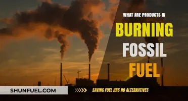 Fossil Fuel Burning: Harmful Byproducts and Their Impact