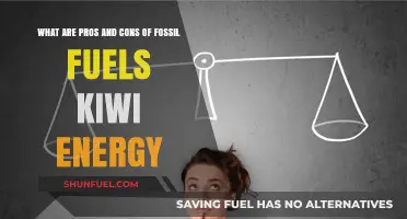 Fossil Fuels vs Kiwi Energy: Pros and Cons