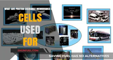 Proton Exchange Membrane Fuel Cells: Applications and Uses Explained
