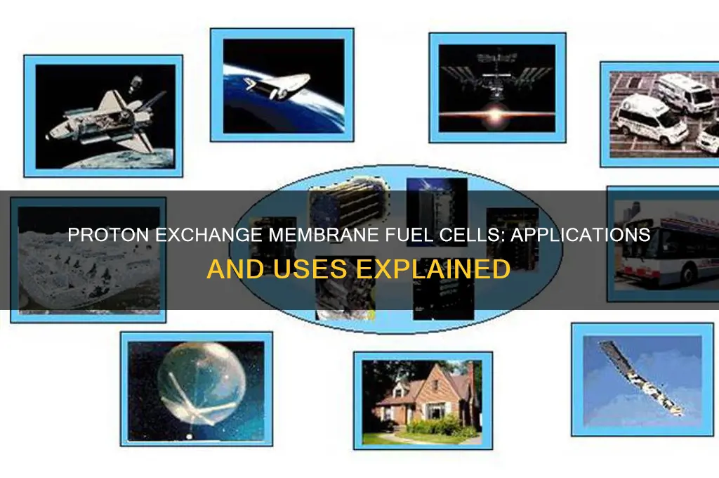 what are proton exchange membrance fuel cells used for
