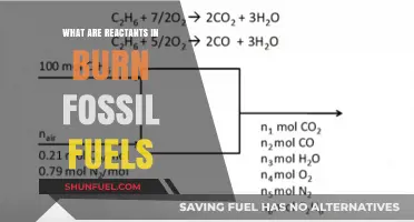 Fossil Fuels: Reactants and Their Impact