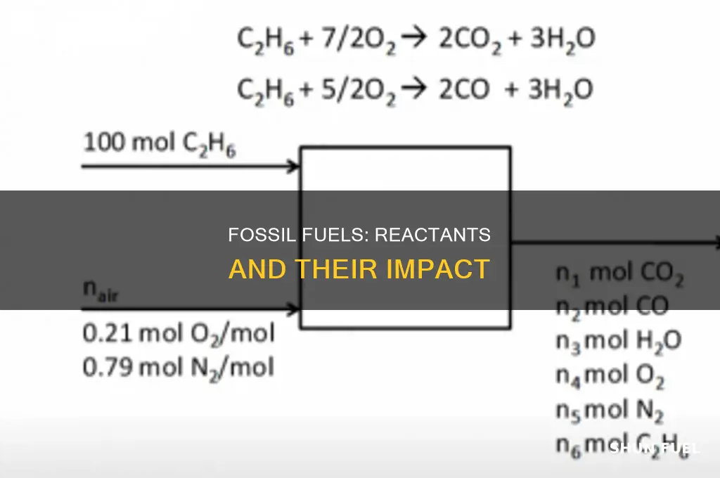 what are reactants in burn fossil fuels