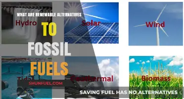 Exploring Renewable Energy Sources Beyond Fossil Fuels
