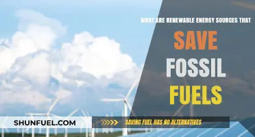 Renewable Energy Sources: Saving Our Fossil Fuels