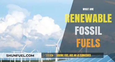 Renewable Fossil Fuels: The Future of Energy?