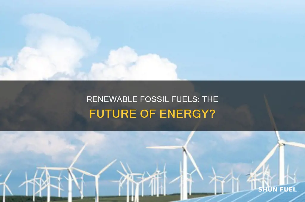 what are renewable fossil fuels