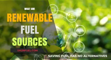Exploring Sustainable Energy: Understanding Renewable Fuel Sources for a Greener Future