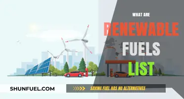 Exploring the Top Renewable Fuels List for a Sustainable Future