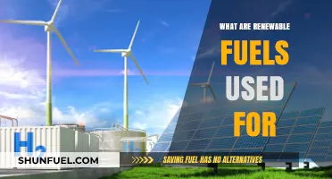 Exploring Renewable Fuels: Sustainable Energy Uses and Applications