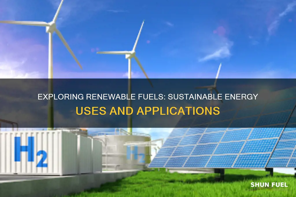what are renewable fuels used for
