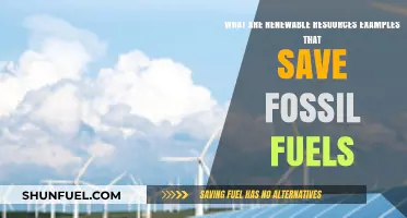 Renewable Energy Sources: Saving Our Fossil Fuels