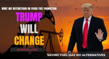 Trump's Fossil Fuel Agenda: Easing Environmental Restrictions