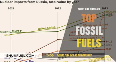 Russia's Fossil Fuel Powerhouse: Oil, Gas, Coal