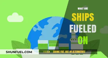Exploring Ship Fuels: From Traditional Diesel to Green Alternatives