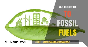 Green Alternatives to Fossil Fuels