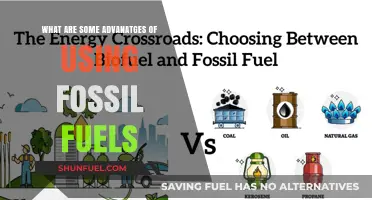 Fossil Fuels: Powering Our World, Pros and Cons