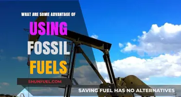 Fossil Fuels: Key Advantages in Energy Reliability and Affordability