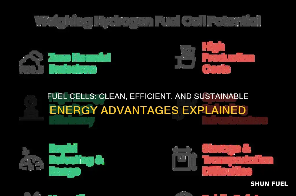 what are some advantages of using fuel cells