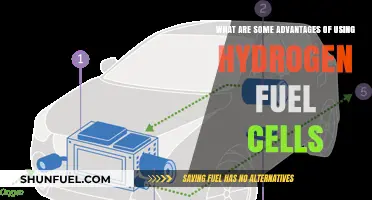 Hydrogen Fuel Cells: Clean Energy, Efficiency, and Sustainable Advantages