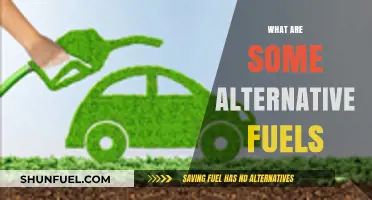 Exploring Eco-Friendly Alternatives to Traditional Fossil Fuels for a Greener Future