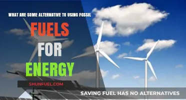 Explore Clean Energy Alternatives to Fossil Fuels
