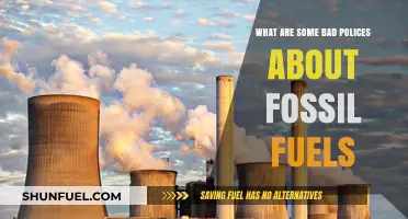 Fossil Fuel Policies: Damaging Our Planet and Our Pockets