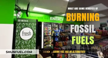 Fossil Fuels: Powering Our World, Pros and Cons